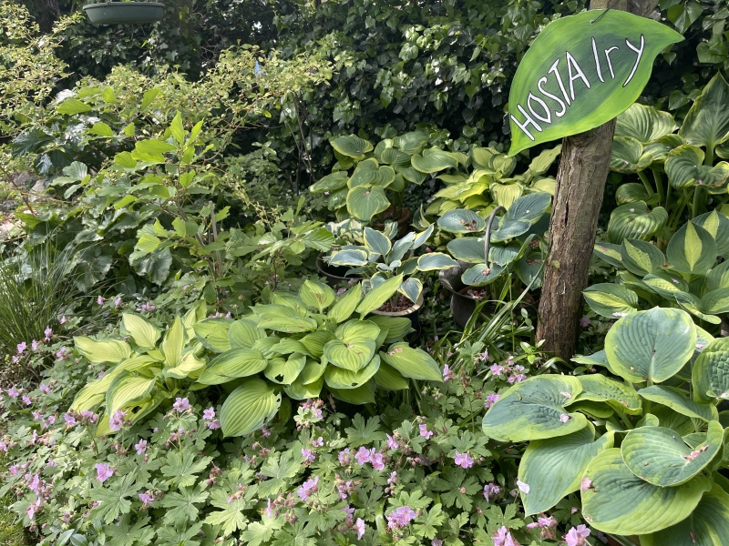 Whitstable Joy Lane Gardens